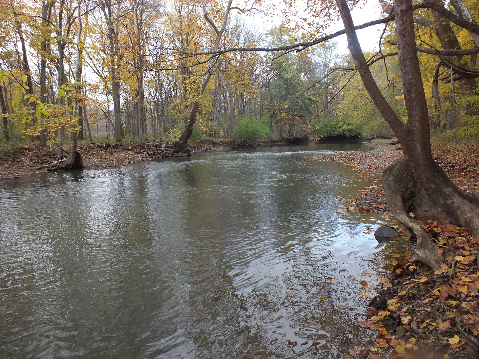 How You Can Protect The Ottawa River